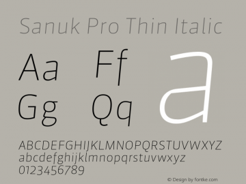 Sanuk Pro Thin Italic Version 7.504; 2010; Build 1027图片样张
