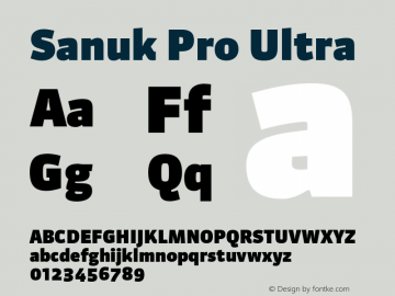 Sanuk Pro Ultra Version 7.504; 2010; Build 1029图片样张