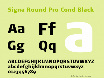Signa Round Pro Cond Black Version 7.504; 2017; Build 1023图片样张