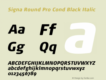 Signa Round Pro Cond Black Italic Version 7.504; 2017; Build 1031图片样张