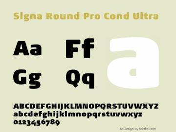 Signa Round Pro Cond Ultra Version 7.504; 2017; Build 1028图片样张