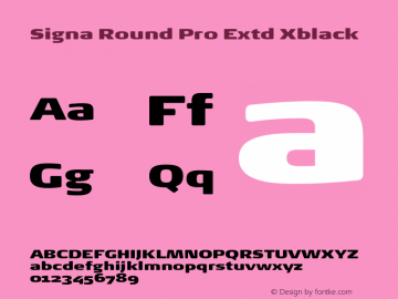 Signa Round Pro Extd Xblack Version 7.504; 2017; Build 1028图片样张