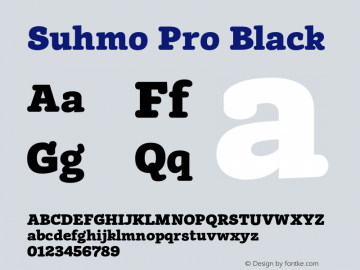 Suhmo Pro Black Version 7.60图片样张