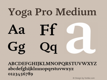 Yoga Pro Medium Version 7.600, build 1028, FoPs, FL 5.04图片样张