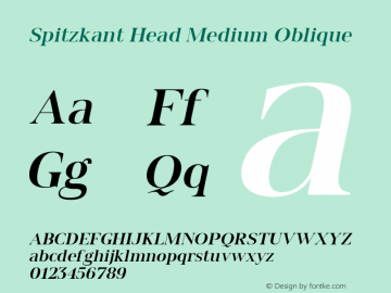 Spitzkant Head Medium Oblique Version 1.000 | FøM Fix图片样张