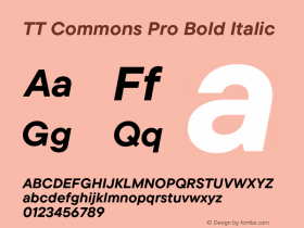 TT Commons Pro Bold Italic Version 3.000.09052021图片样张