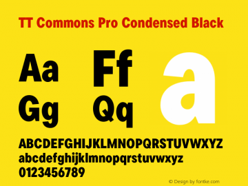 TT Commons Pro Condensed Black Version 3.000.09052021图片样张