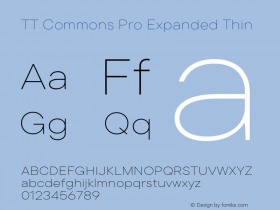 TT Commons Pro Expanded Thin Version 3.000.09052021图片样张