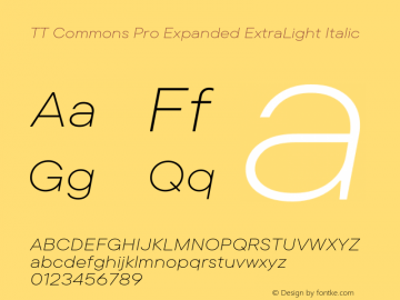 TT Commons Pro Expanded ExtraLight Italic Version 3.000.09052021图片样张