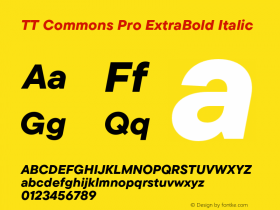 TT Commons Pro ExtraBold Italic Version 3.000.09052021图片样张