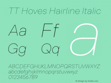 TT Hoves Hairline Italic Version 2.000;hotconv 1.0.109;makeotfexe 2.5.65596.12112020图片样张