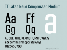 TT Lakes Neue Compressed Medium Version 1.100.14042021图片样张