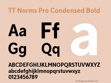 TT Norms Pro Condensed Bold Version 3.000.12072021图片样张