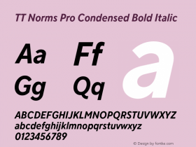 TT Norms Pro Condensed Bold Italic Version 3.000.12072021图片样张