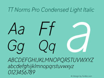 TT Norms Pro Condensed Light Italic Version 3.000.12072021图片样张