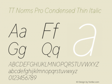 TT Norms Pro Condensed Thin Italic Version 3.000.12072021图片样张