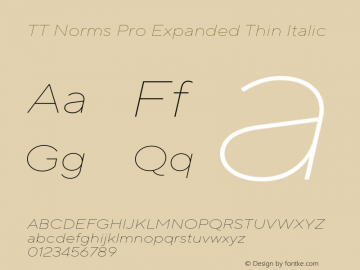 TT Norms Pro Expanded Thin Italic Version 3.000.12072021图片样张