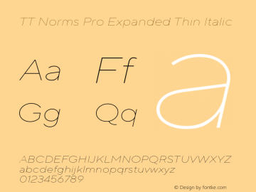 TT Norms Pro Expanded Thin Italic Version 3.000.12072021图片样张