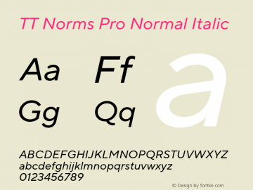 TT Norms Pro Normal Italic Version 3.000.12072021图片样张