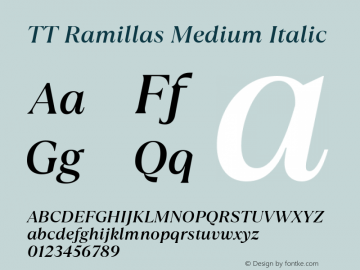 TT Ramillas Medium Italic 1.000.21092020图片样张