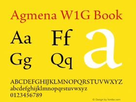 AgmenaW1G-Book Version 1.00图片样张