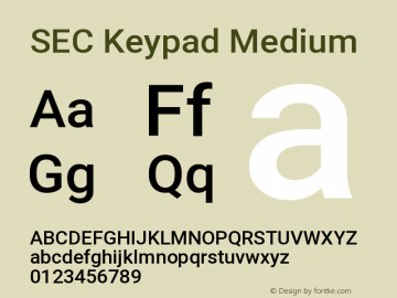 SEC Keypad Medium Version 2.001047; 2014 ; Keypad; build 20210520图片样张