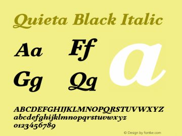 Quieta Black Italic Version 1.000;hotconv 1.0.109;makeotfexe 2.5.65596图片样张