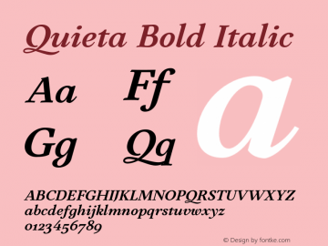 Quieta Bold Italic Version 1.000;hotconv 1.0.109;makeotfexe 2.5.65596图片样张