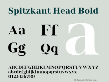 Spitzkant Head Bold Version 1.000;hotconv 1.0.109;makeotfexe 2.5.65596图片样张
