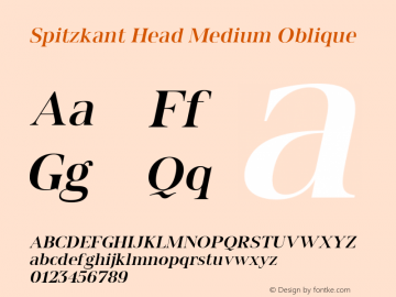 Spitzkant Head Medium Oblique Version 1.000;hotconv 1.0.109;makeotfexe 2.5.65596图片样张