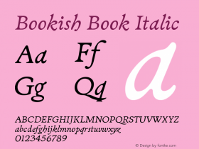 Bookish Book Italic Version 1.005 | web-ttf图片样张