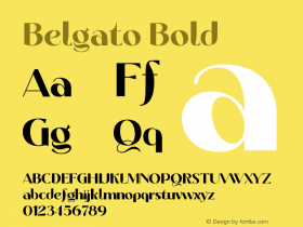 Belgato Bold 1.000;FEAKit 1.0图片样张