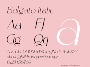 Belgato Light Italic 1.000;FEAKit 1.0图片样张