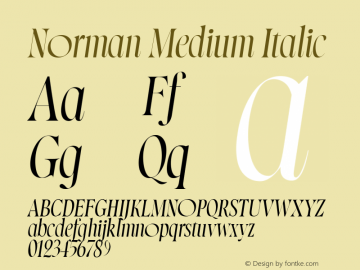 Norman Medium Italic Version 1.000;FEAKit 1.0图片样张