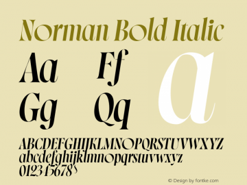 Norman Bold Italic Version 1.000;FEAKit 1.0图片样张