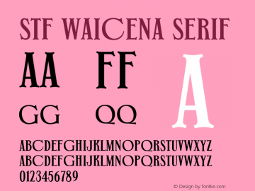 STF Waicena Serif Version 1.000;FEAKit 1.0图片样张