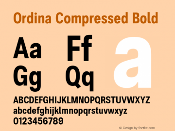 Ordina Compressed Bold Version 1.007;FEAKit 1.0图片样张