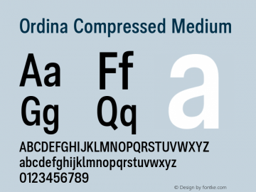 Ordina Compressed Medium Version 1.007;FEAKit 1.0图片样张