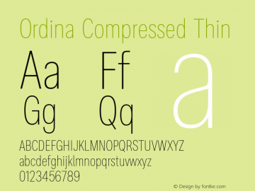 Ordina Compressed Thin Version 1.007;FEAKit 1.0图片样张