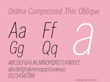 Ordina Compressed Thin Oblique Version 1.007;FEAKit 1.0图片样张