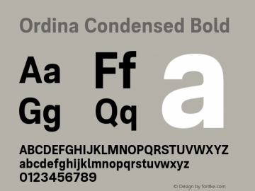 Ordina Condensed Bold Version 1.007;FEAKit 1.0图片样张
