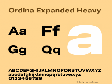 Ordina Expanded Heavy Version 1.007;FEAKit 1.0图片样张