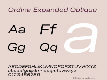 Ordina Expanded Oblique Version 1.007;FEAKit 1.0图片样张