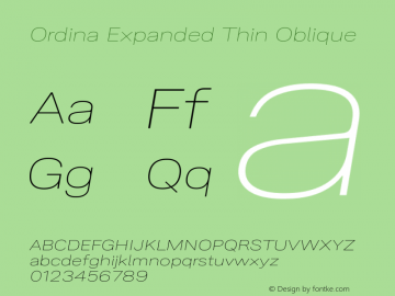 Ordina Expanded Thin Oblique Version 1.007;FEAKit 1.0图片样张