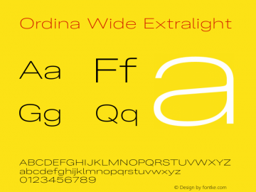 Ordina Wide Extralight Version 1.007;FEAKit 1.0图片样张