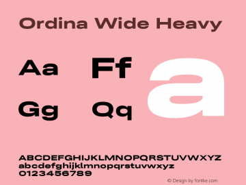 Ordina Wide Heavy Version 1.007;FEAKit 1.0图片样张