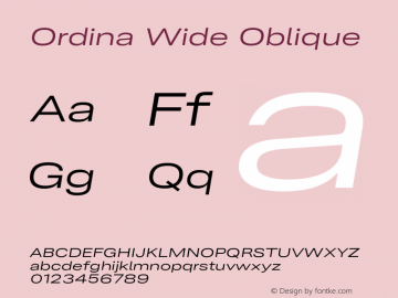 Ordina Wide Oblique Version 1.007;FEAKit 1.0图片样张