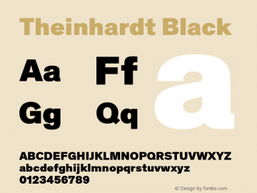 Theinhardt-Black Version 4.003; build 0008图片样张