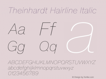 Theinhardt-HairlineItalic Version 4.003; build 0007图片样张