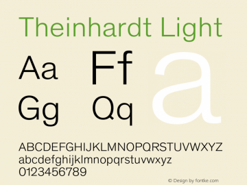Theinhardt-Light Version 4.003; build 0007图片样张